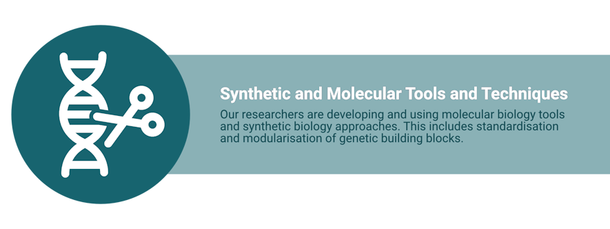 Icon shows DNA with scissors cutting it. Text: Our researchers are developing and using molecular biology tools and synthetic biology approaches. This includes standardisation and modularisation of genetic building blocks.