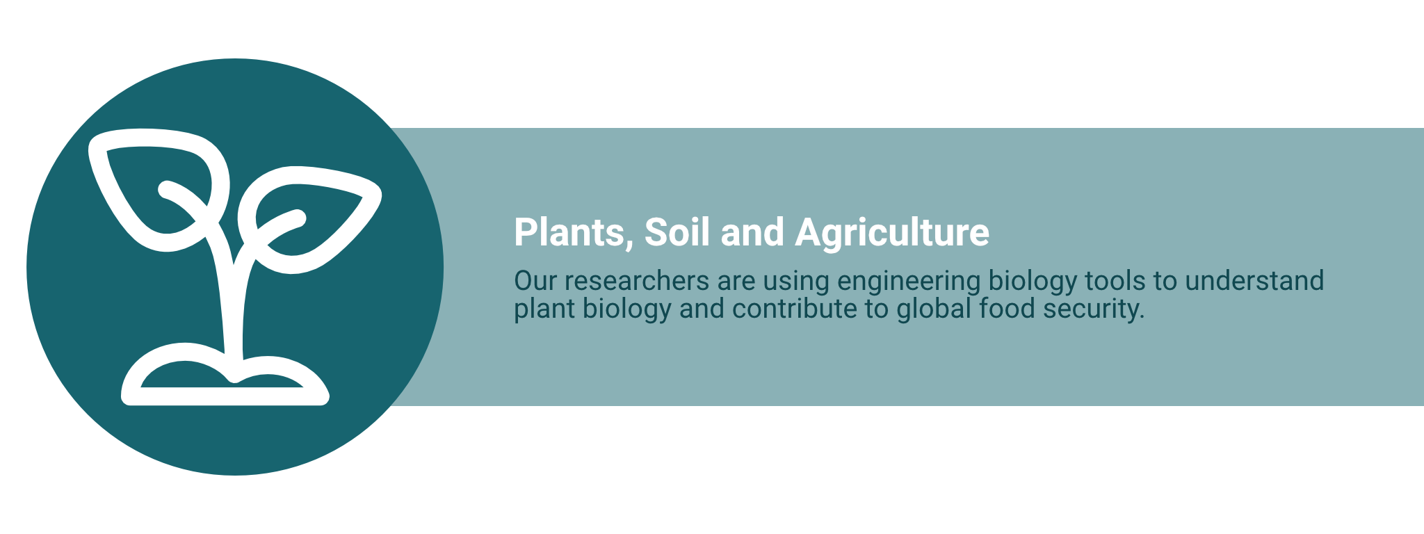 On the left, a white icon on a dark teal background shows a plant growing out of soil. On the right, “Plants, Soil and Agriculture. Our researchers are using engineering biology tools to understand plant biology and contribute to global food security."