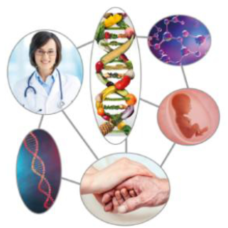 An image of interconnected bubbles showing a doctor, DNA, an embryo in a womb, some molecules and two hands holding each other
