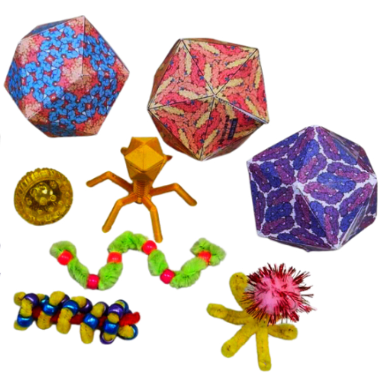 A selection of kids craft viruses on a white background