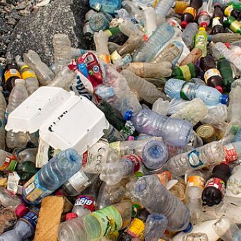A photo of a pile of waste plastic bottles and food cartons strewn on the ground