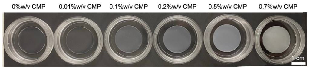 Photo of six wells in a plastic microwell plate filled with hydrogel. The gels increase in opacity from left to right. Concentrations are written above starting at 0%w/v CMP through 0.01%, 0.1% 0.2%, 0.5% up to 0.7%