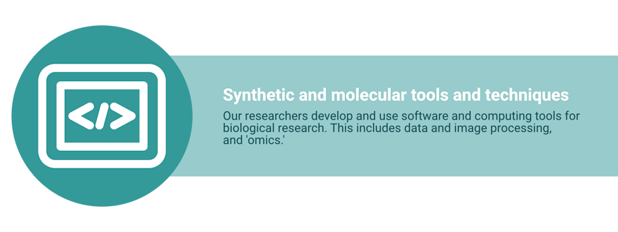 A white icon of a screen with coding symbols </>. Text reads: “Software for Biology. Our researchers develop and use software and computing tools for biological research. This includes data and image processing, and 'omics’.”
