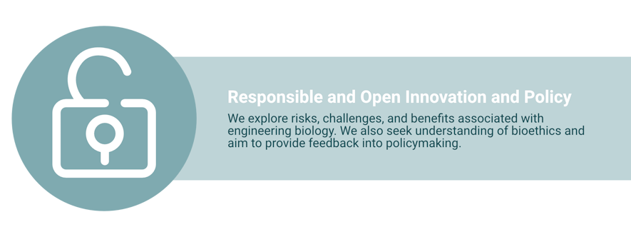 A white icon of an open padlock.Text reads: “Responsible and Open Innovation and Policy. We explore risks, challenges, and benefits associated with engineering biology. We also seek understanding of bioethics & aim to provide feedback into policymaking."