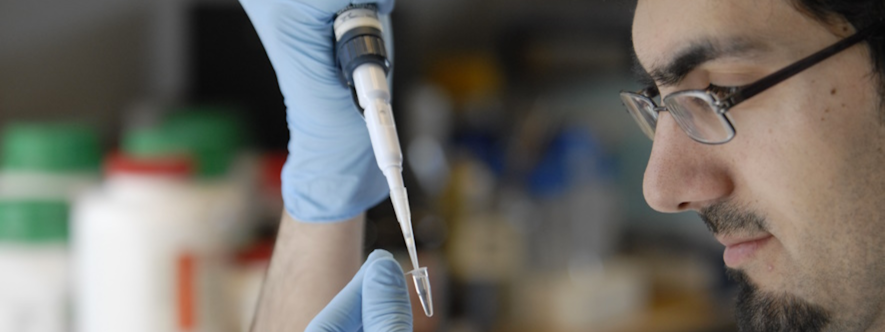 Male scientist in a lab doing an experiment with a pipette