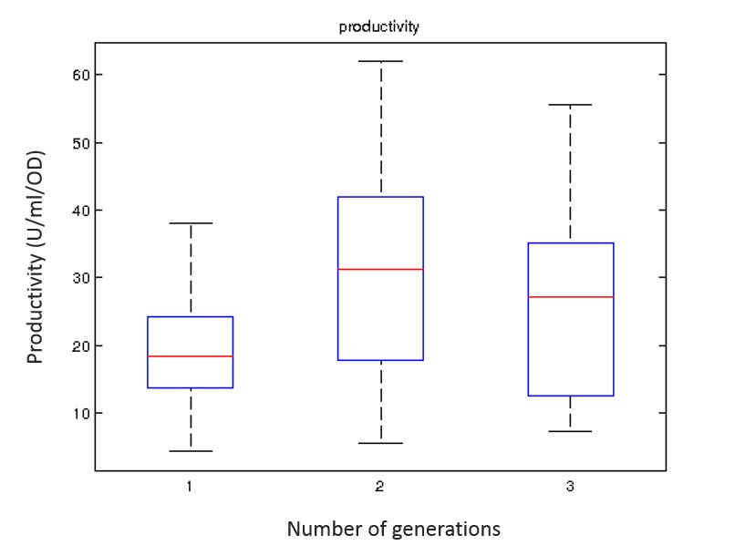 productivity over three generations