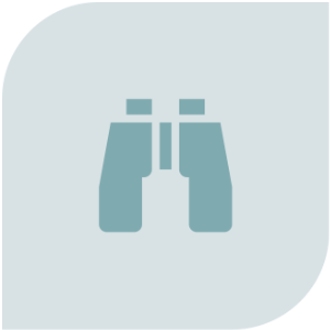 icon of a pair of binoculars