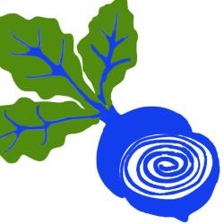 Illustration of a blue beetroot with green leaves