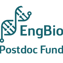 EngBio Postdoc Fund Logo - IRC logo of a connected DNA ladder with the text "EngBio Postdoc Fund" in teal