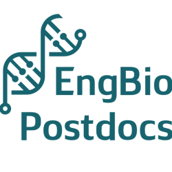 EngBio Postdocs Logo - IRC logo of a connected DNA ladder with the text "EngBio Postdocs" in teal