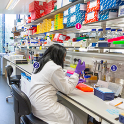 Screenshot of the CRUK Cambridge Institute virtual tours. Photograph of a molecular biology lab with a female scientist sat at a lab bench surrounded by scientific equipment. The image has numbers at information buttons at different points.
