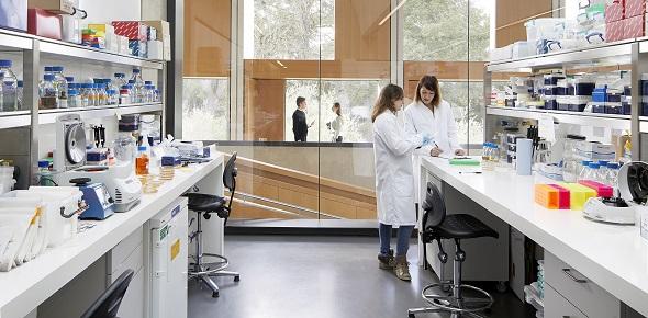 Open Cambridge 2022 - What do scientists do, anyway?