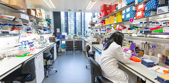 From patient samples to world-leading cancer research: CRUK Cambridge Institute Open Cambridge Event 2021 Screenshot of the CRUK Cambridge Institute virtual tours. Photograph of a molecular biology lab with a female scientist sat at a lab bench surrounded by scientific equipment. The image has numbers at information buttons at different points.