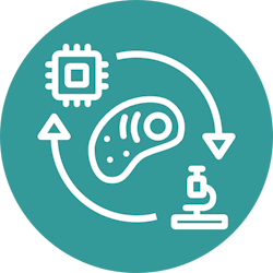 Image of white icons on a circular mid teal background. Cell icon in the centre surrounded by arrows and a microchip icon in the top left and a microscope icon in the bottom right. Teal text at the top reads: “Biological Instrumentation and Tools”.
