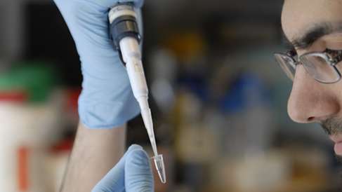 Male scientist in a lab doing an experiment with a pipette