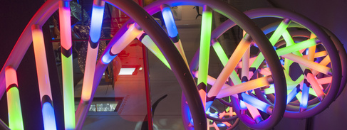 Photo of a sculpture of DNA. The photo is looking down the centre of the double helix spiral. The bases are bright fluorescent tubes glowing with light.