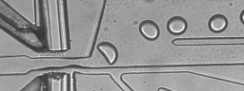 A photo of a microfluidic plate with droplets passing through