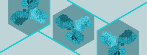 Illustrative design with the 3D rendered structure of an antibody, IgG, tessellated three times.