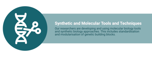 Icon shows DNA with scissors cutting it. Text: “Synthetic and Molecular Tools and Techniques. Our researchers are developing and using molecular biology tools and synthetic biology approaches. 