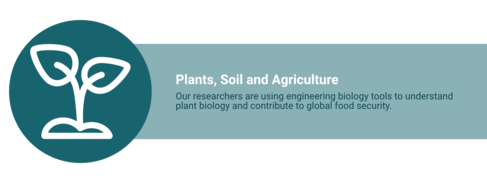 On the left, a white icon on a dark teal background shows a plant growing out of soil. On the right, “Plants, Soil and Agriculture. Our researchers are using engineering biology tools to understand plant biology and contribute to global food security."