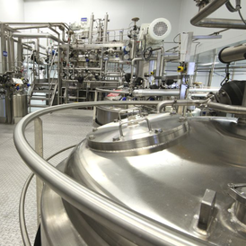 Photo of a fermentation room