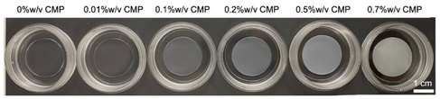 Photo of six wells in a plastic microwell plate filled with hydrogel. The gels increase in opacity from left to right. Concentrations are written above starting at 0%w/v CMP through 0.01%, 0.1% 0.2%, 0.5% up to 0.7%
