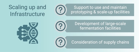 Engineering biology scaling-up and infrastructure 2025
