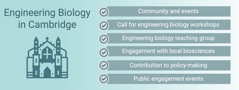 Engineering biology in Cambridge 2025