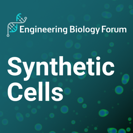 Microscopy image of synthetic cells overlaid with a dark teal background, the EngBio logo and text reading "Engineering Biology Forum. Synthetic Cells."