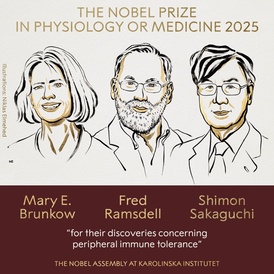 Illustration of three people, one woman with short har, one man with a beard, and one man with glasses. They are this year's laureates for the Nobel Prize in Medicine