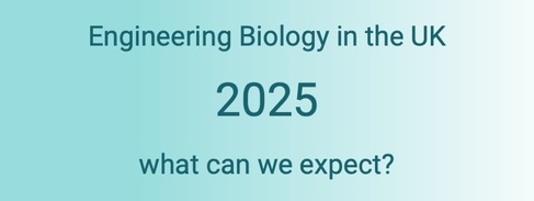 Engineering Biology in the UK 2025 - what can we expect?