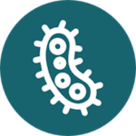 Image of a white icon on a circular dark teal background. Icon shows a bacterial cell.