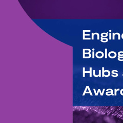 A purple background with a blue banner a white text reading “Engineering Biology Mission Hubs and Mission Awards”. The BBSRC logo is in the top left corner.