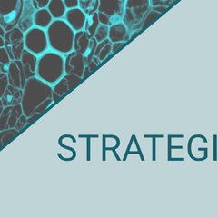 Microscopy image of cells outlined in cyan with the EngBio IRC logo and text reading "Strategic Events"