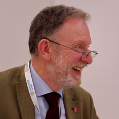 Professor Gareth Rees