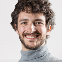 Dr Andrea Luppi