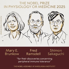 Illustration of three people, one woman with short har, one man with a beard, and one man with glasses. They are this year's laureates for the Nobel Prize in Medicine