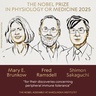 Illustration of three people, one woman with short har, one man with a beard, and one man with glasses. They are this year's laureates for the Nobel Prize in Medicine