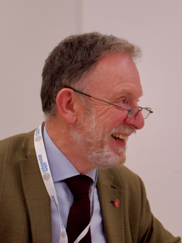 Professor Gareth Rees