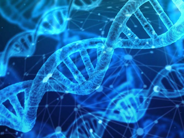 Photo of DNA