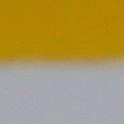 Programmable biology in the test tube: new interdisciplinary activity series launched by SRI