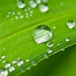 UK bioeconomy: call for evidence