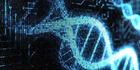 UK Commons Select Committee call for 'GM and gene editing' evidence check