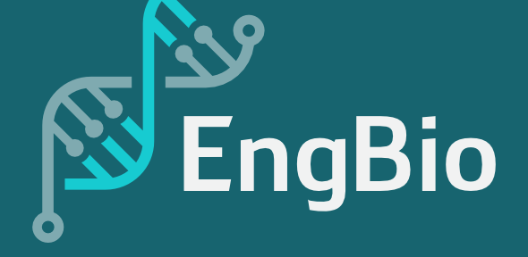 EngBio IRC Square Logo EngBio IRC Logo - dark teal background with light teal and aqua DNA logo and white text "EngBio IRC"