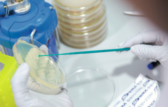 Three Cambridge based spin-offs win Bio-start accelerator funding