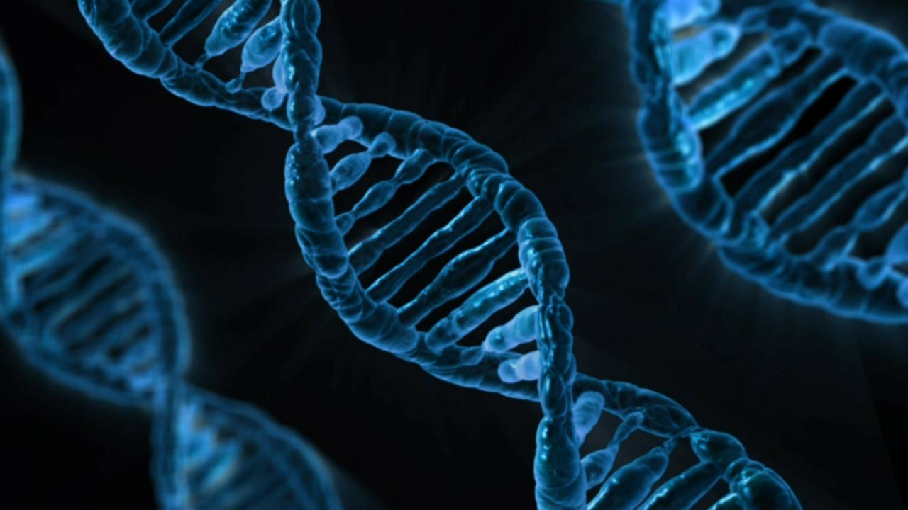 Call for participation in 4th International Synthetic & Systems Biology Summer School - to be held in Cambridge!