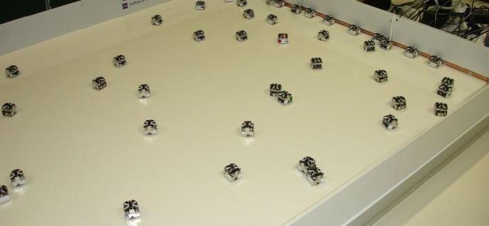 Complex design practices: learning from Synthetic Biology and Swarm Robotics