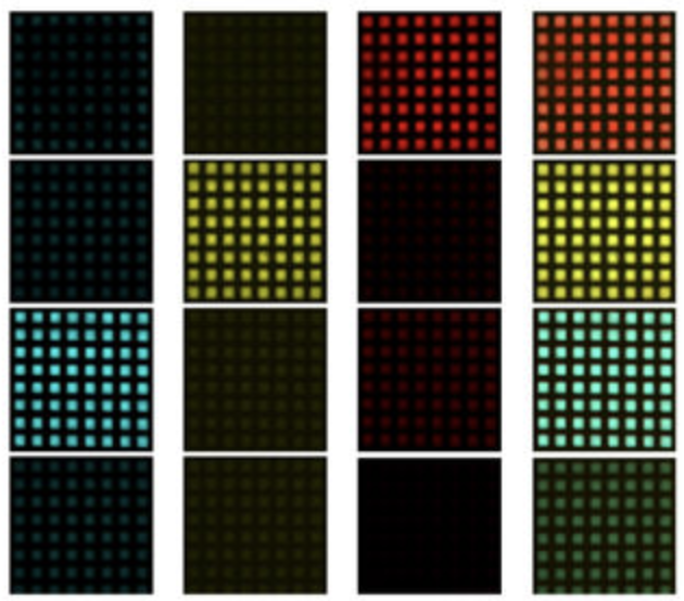 New paper out now! Programmed hierarchical patterning of bacterial populations
