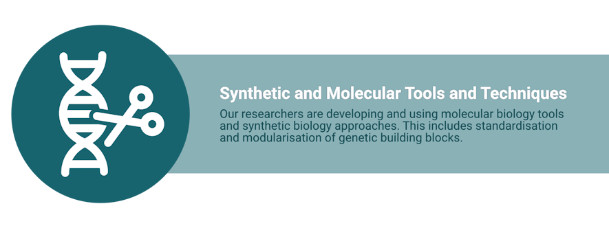 Icon shows DNA with scissors cutting it. Text: “Synthetic and Molecular Tools and Techniques. Our researchers are developing and using molecular biology tools and synthetic biology approaches. 