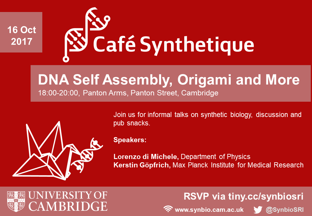 Cafe Syn DNA Origami & More